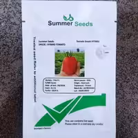 بذر گوجه فرنگی Tifal دانمارک 2024