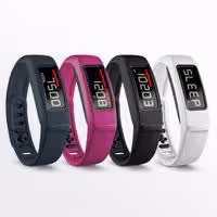 vivofit 2