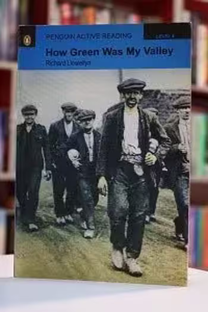 Penguin Active Reading 4 How Green Was My Valley