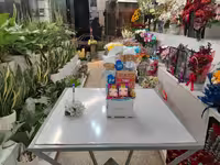 باکس عروسک روسی دوقلو