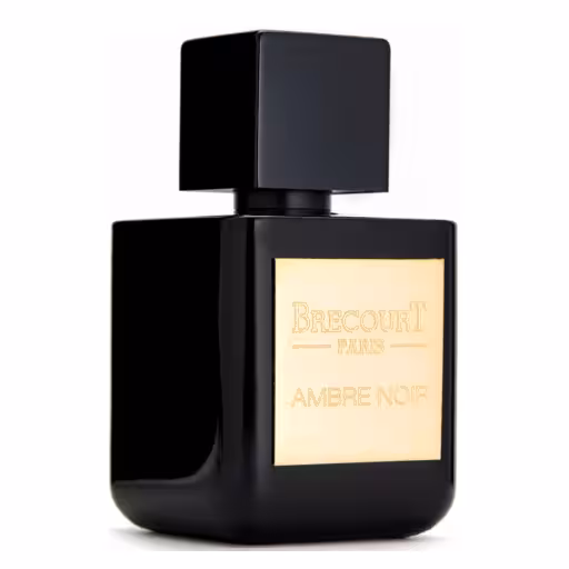 Ambre Noir Brecourt/عطر امبر نویر برکورت