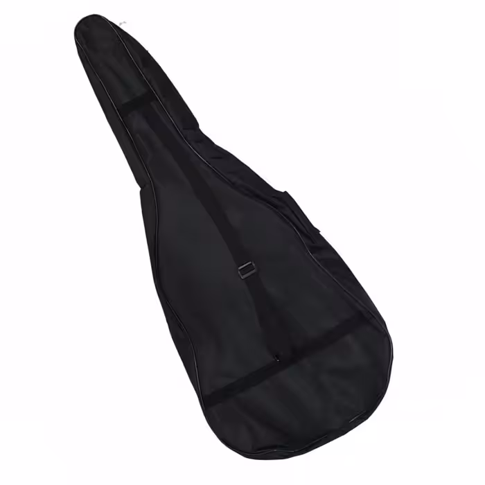 گیتار مدل c80cord