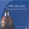 کتاب کتیبه های پهلوی اثر دکتر داریوش اکبرزاده انتشارات پازینه