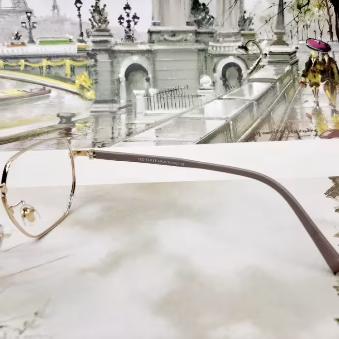فریم عینک طبی تد بیکر مدل T0950c5