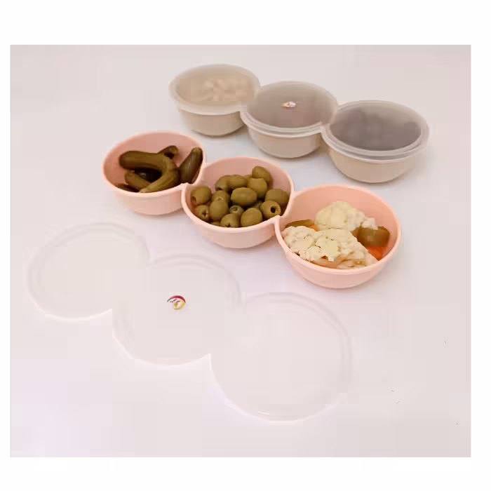 ظرف نگهدارنده یاس مدل مقسم