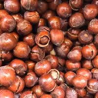 فندوق براق اشکور