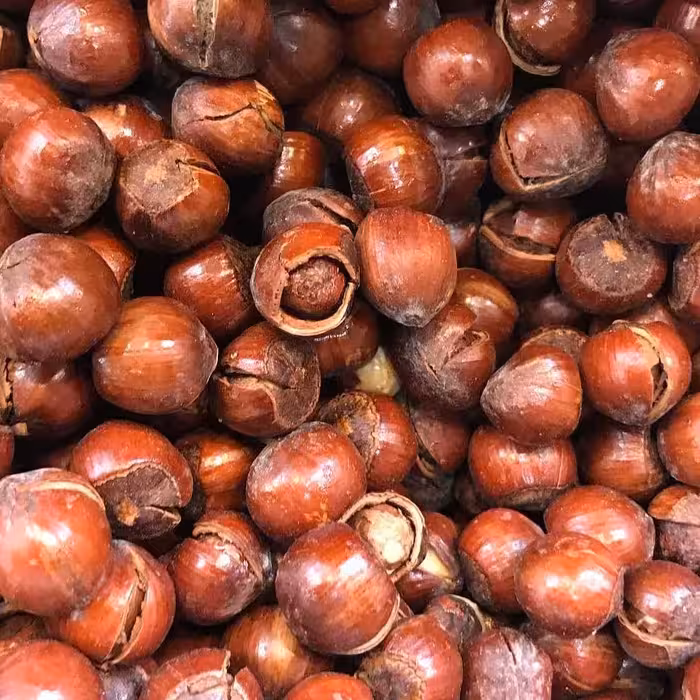 فندوق براق اشکور