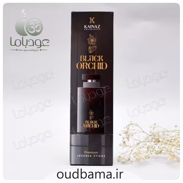 عود دست ساز بلک ارکید BLACK ORCHID ( کایناز KAINAZ)