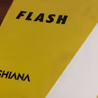 آلبوم کاغذ دیواری فلش flash