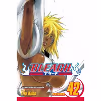 Bleach v42