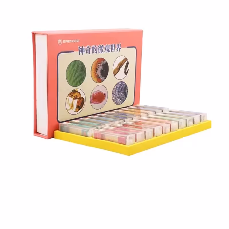 نمونه‌ آماده میکروسکوپی برسر مدل 100 عددی