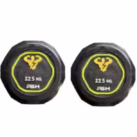 دمبل گرد وزن 22.5 کیلوگرم