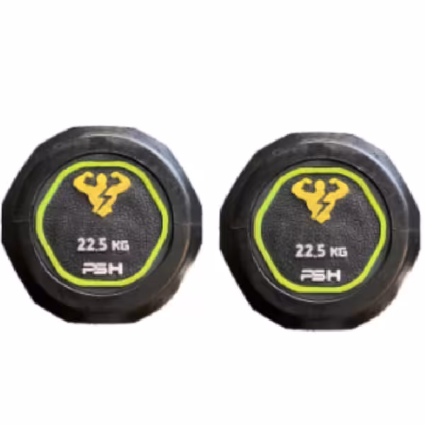 دمبل گرد وزن 22.5 کیلوگرم
