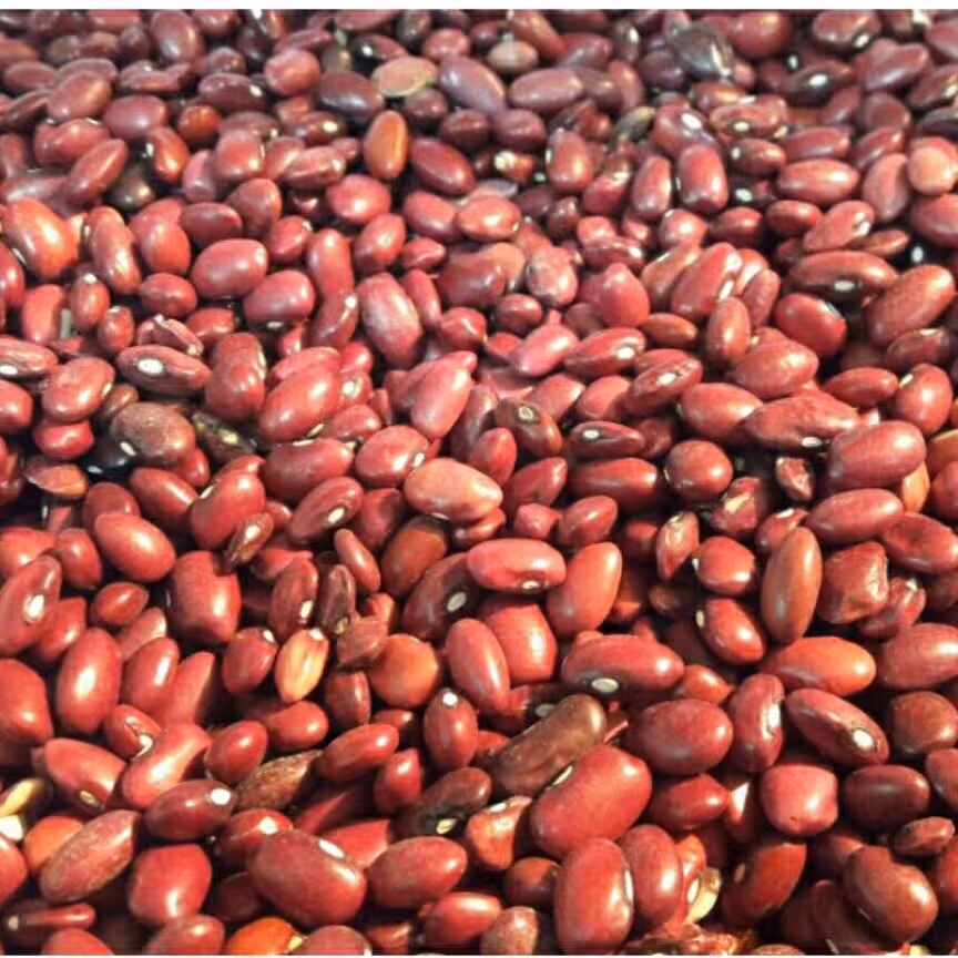 لوبیا قرمز  عالی نیم کیلو 