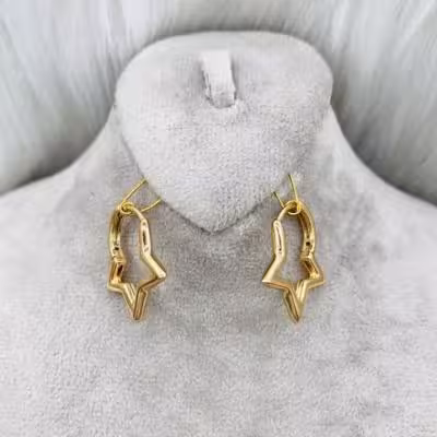 گوشواره حلقه ای6