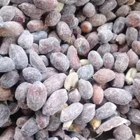 بادام زمینی دو اتشه(بسته های نیم کیلویی ویک کیلویی) آجیل امیر