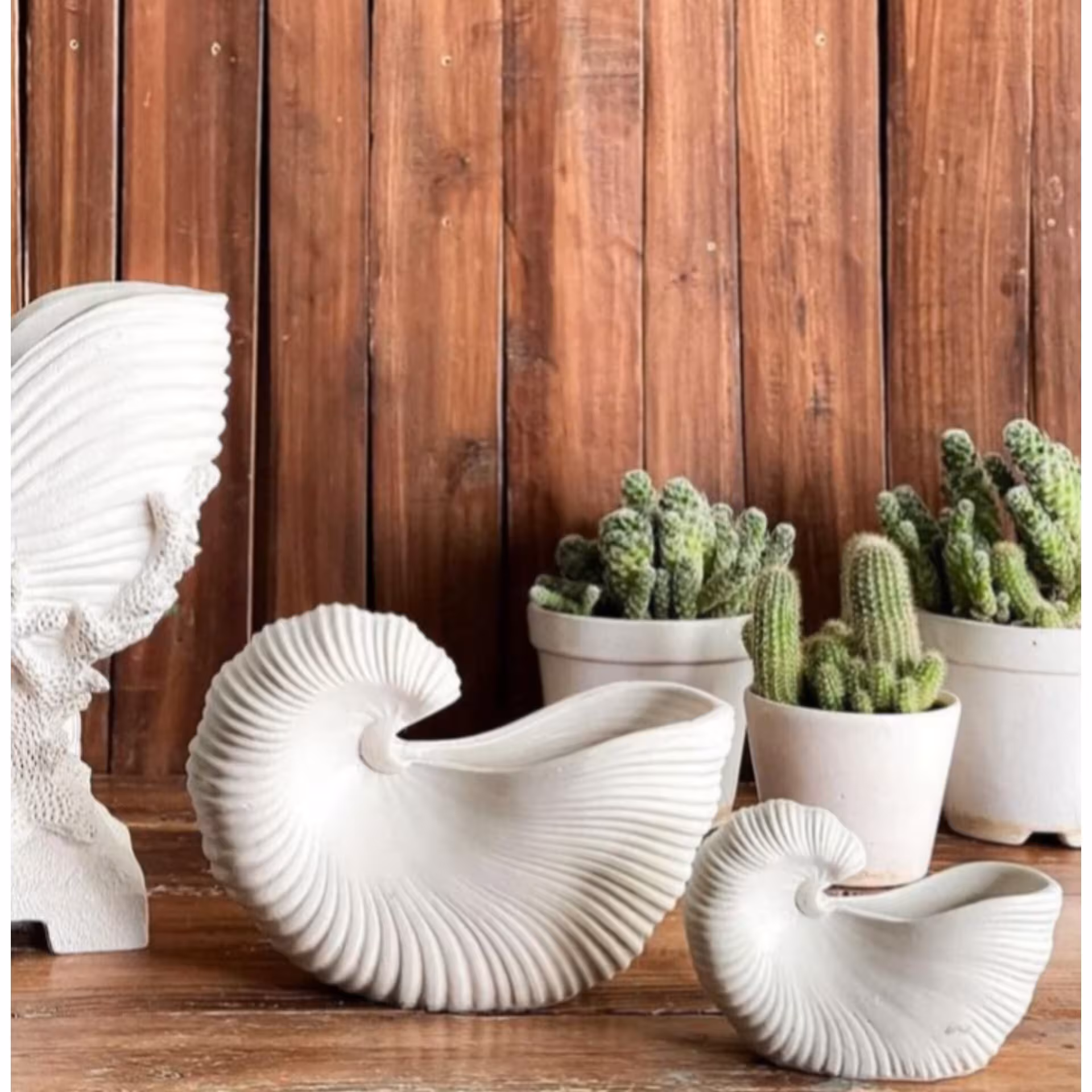 ست گلدان صدفی