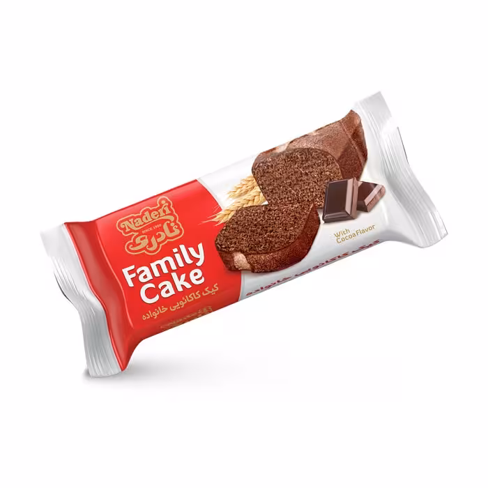 کیک خانواده کاکائویی 100g نادری