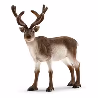 گوزن شمالی اشلایش Schleich