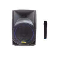 باند پرتابل اکتیو شارژی با میکروفن پنتک مدل PANTECH 12A