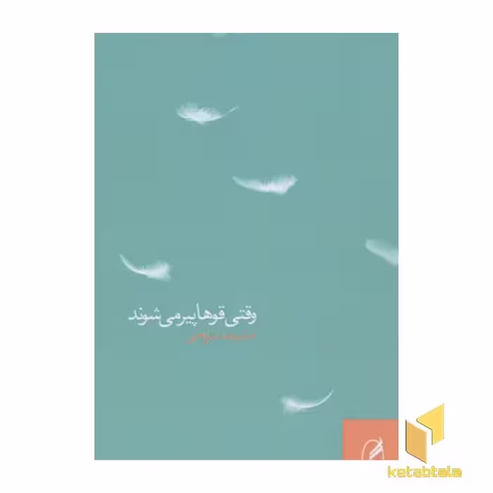 کتاب وقتی قوها پیر می شوند (رقعی)، اثر خدیجه شریعتی، نشر آگه