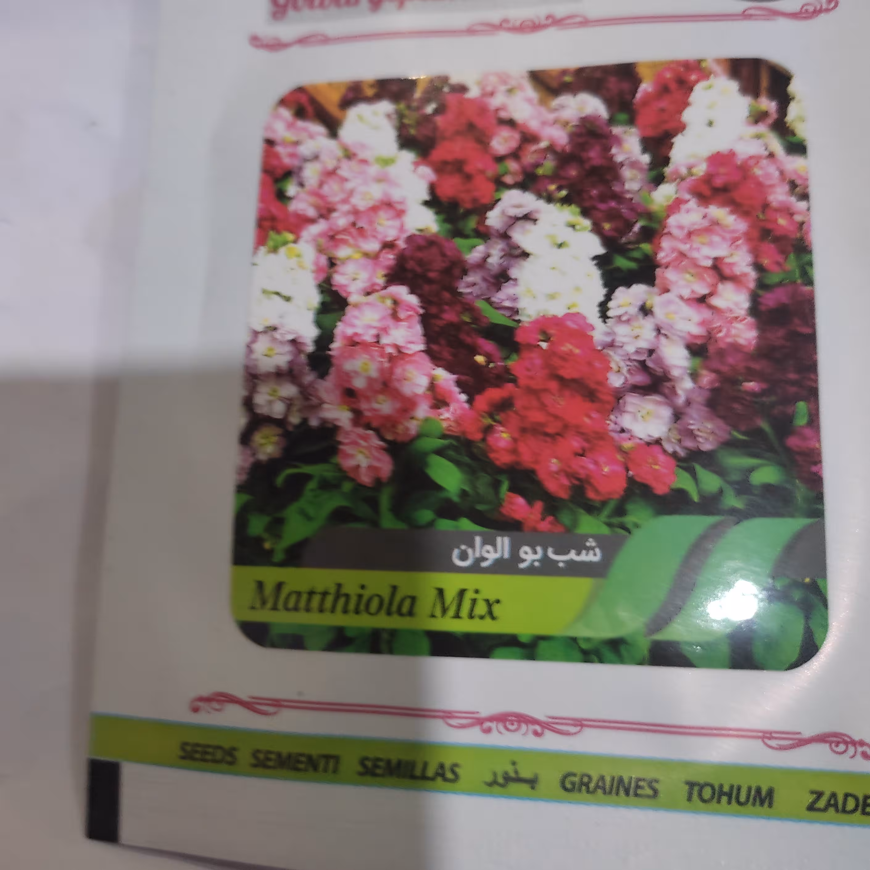 بذر گل شب بو الوان شرکتی 