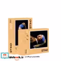 پازل شیشه ای استینو 260 تکه طرح هنرمندان کد 27101 باجعبه