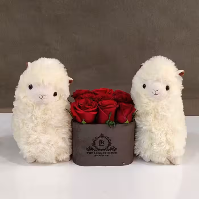 عروسک لاما با لبخند ملیح در اراک و مرکزی