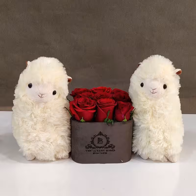 عروسک لاما با لبخند ملیح در اراک و مرکزی