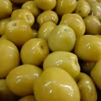 زیتون بدون هسته امساله رودبار