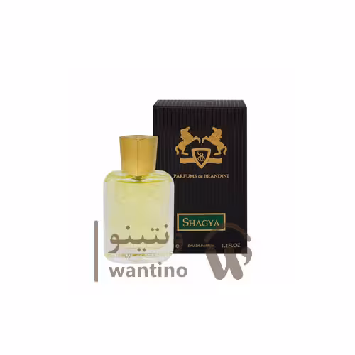 عطر ادکلن مردانه پرفیومز دو مارلی شاگیا برندینی (Brandini Parfums de Marly Shagya) حجم 33 میل