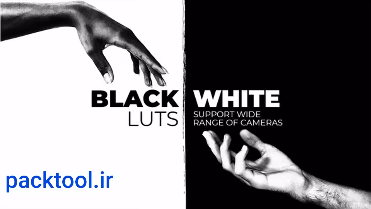 دانلود پروژه داوینچی ریزالو پریست رنگ سیاه و سفید Black & White LUTs - پک تول