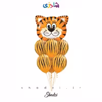 پک بادکنک ببر