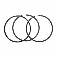 رینگ موتور الدورا کد 87120645 مناسب برای پژو 405 XU9 بسته 12 عددی