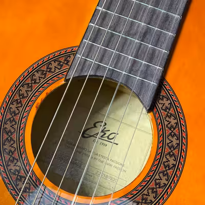 گیتار کلاسیک اکو مدل cs10