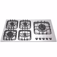 گاز صفحه ای رابیتس RS-509