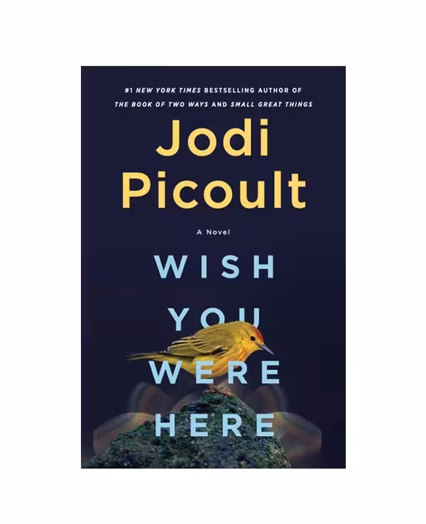 رمان انگلیسی Wish You Were Here اثر Jodi Picoult
