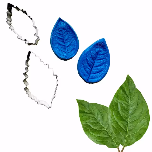 ست کاتر و وینر برگ نسکو