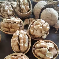 گردو پوست کاغذی پر مغز با کیفیت