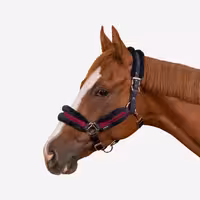 افسار اسب فوگانزا مناسب پونی مدل Confort
