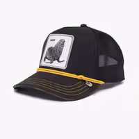 کلاه گورین مدل Seal of Approval