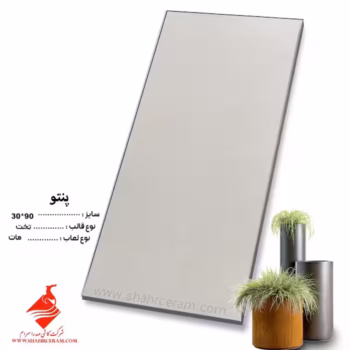 سرامیک پنتو 90*30 کاشی صدرا سرام