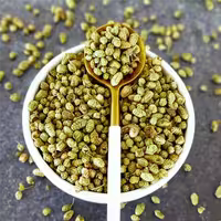 اورگانو( پونه کوهی)اعلا 100گرمی