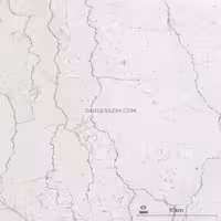 سنگ مرمریت صلصالی کرم