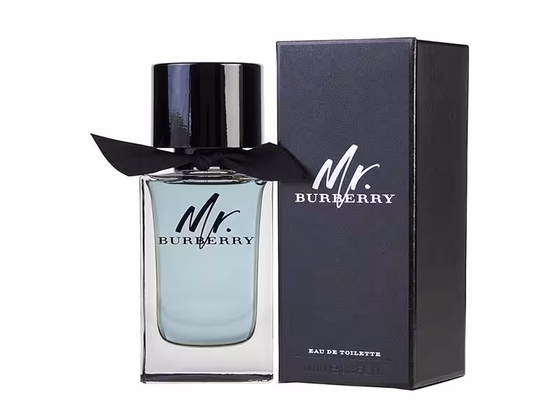 عطر و ادکلن مردانه باربری مستر باربری ادوتویلت burberry mr burberry for men