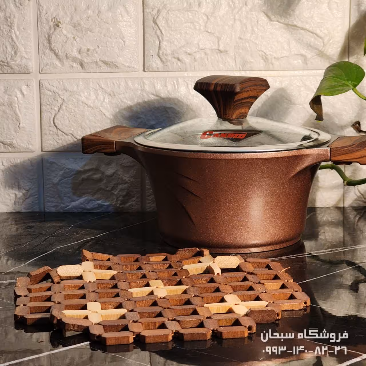 زیردیگی مهره ای
