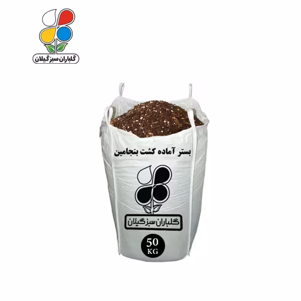 بستر آماده کشت بنجامین 50 کیلویی