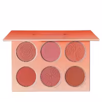 پالت رژگونه 6 رنگ شیگلم مدل SHEGLAM FLORAL FLUSH