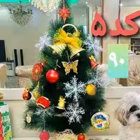 درخت کریسمس 90 تزیین شده کد 5