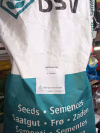 بذر چمن سوپر اسپورت هلندdsv